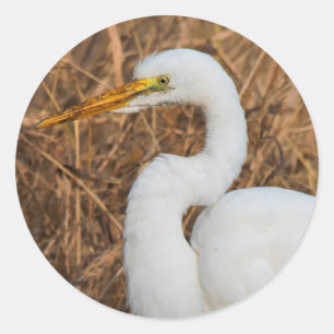 Adesivo Redondo Egret do Excelente Elegante nas Leeds
