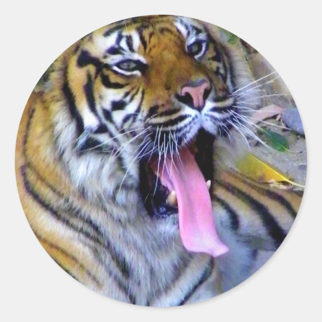 Adesivo Redondo Ei! (Frente)