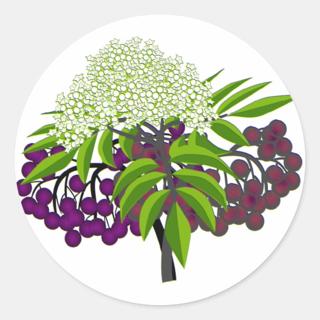 Adesivo Redondo Elderberry (Frente)