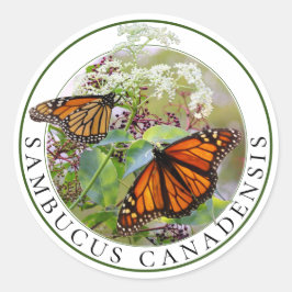 Adesivo Redondo Elderberry Sambucus e Monarca Butterfly