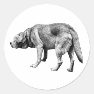 Adesivo Redondo Ele sabe o caminho