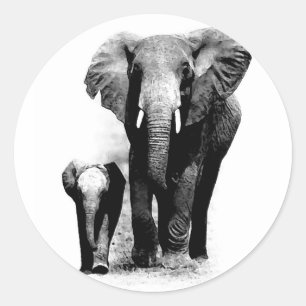 Adesivo Redondo Elefante de BW & elefante do bebê