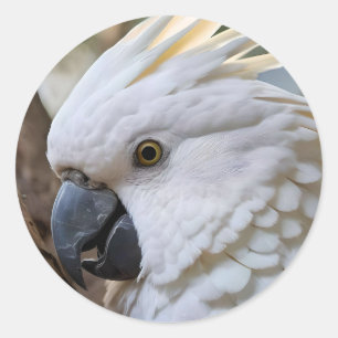 Adesivo Redondo Elegância em Branco: A Majestosa Cockatoo Aussie