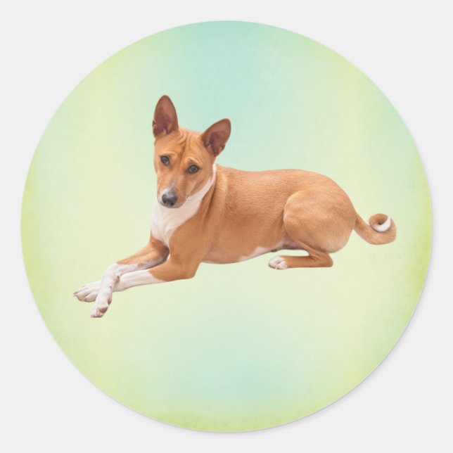 Adesivo Redondo Elegant Basenji Dog  (Frente)