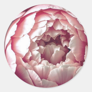 Adesivo Redondo Elegant Wedding invitation Seal rose