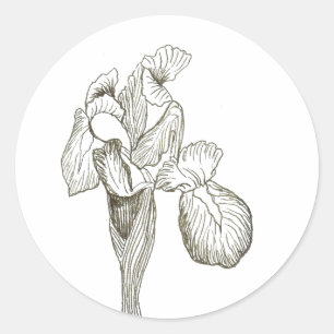 Adesivo Redondo Elegante Iris Sticker