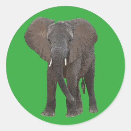 Adesivo Redondo Elephant Sticker Africano
