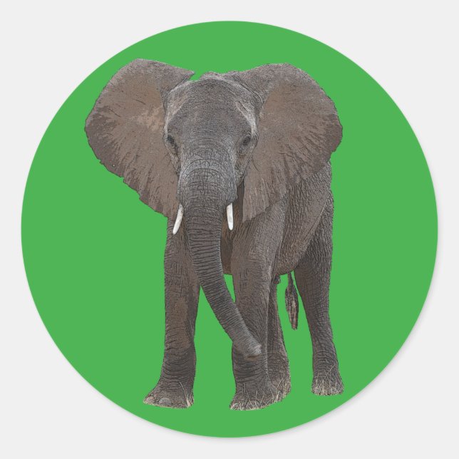 Adesivo Redondo Elephant Sticker Africano (Frente)