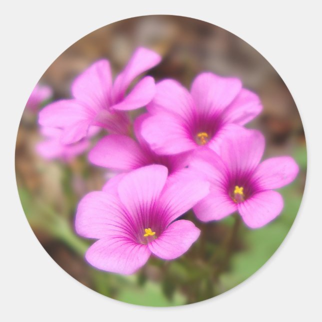 Adesivo Redondo Em Minha Porta (Frente)