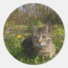 Adesivo Redondo Em Sua Zona De Conforto