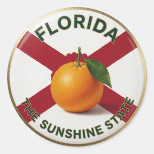 Adesivo Redondo Emblema de Laranja Citrino da Flórida 🍊