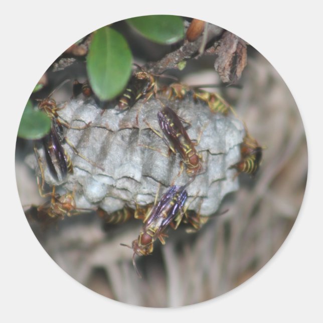 Adesivo Redondo Empilhadores #2 (Frente)