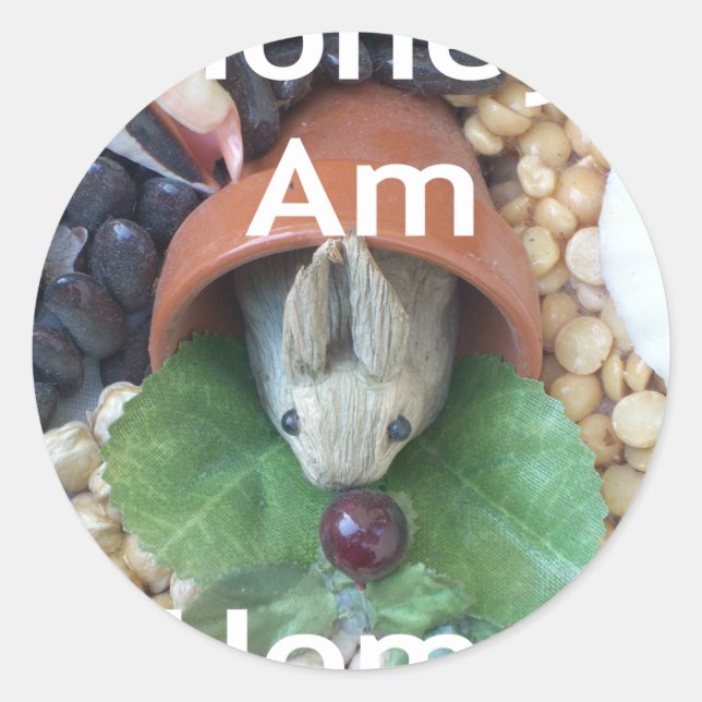 Adesivo Redondo Encantamento de coelho bonito (Frente)