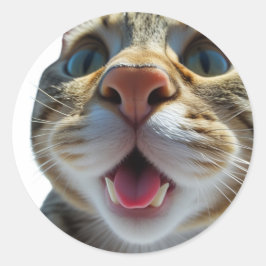 Adesivo Redondo Encerramento de Gato Engraçado | Arte de Gato Boni