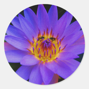 Adesivo Redondo Encontro secreto