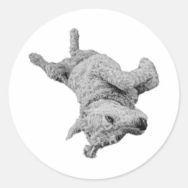 Adesivo Redondo Energia de Goofball (Frente)