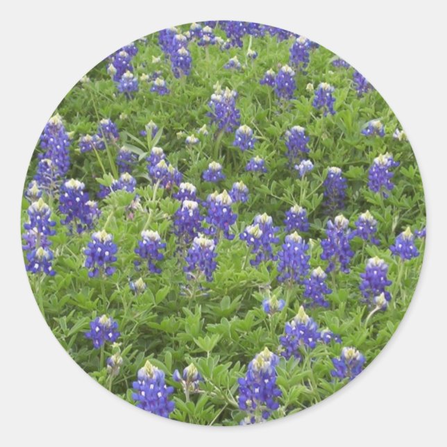 Adesivo Redondo Energia do Blues (Frente)