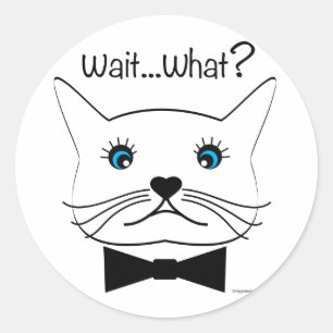 Adesivo Redondo Engraçado Espera... O quê? Gato De Olho Cruzado,