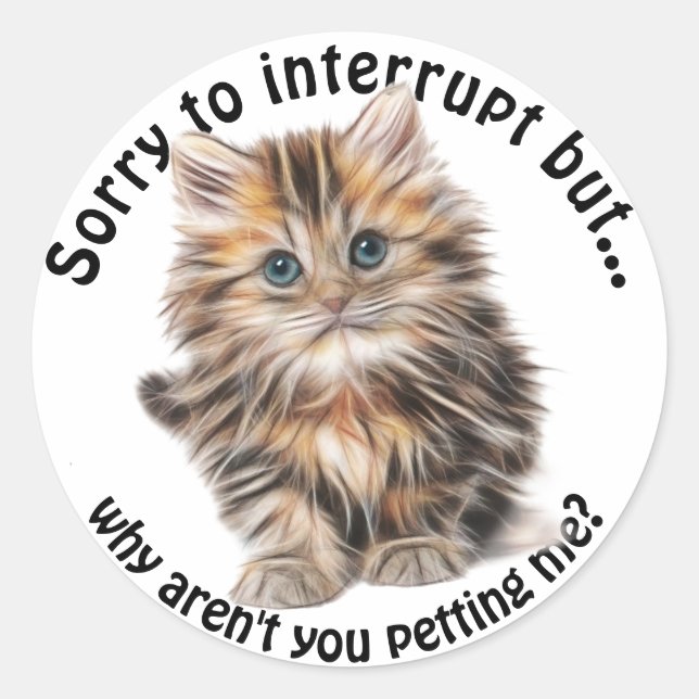 Adesivo Redondo Engraçado Gatinho Engraçado Pet Me Cotação (Frente)