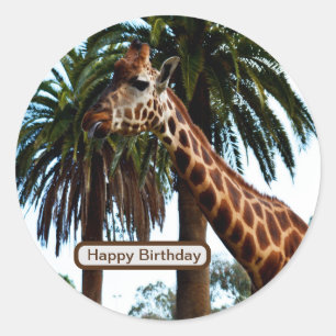 Adesivo Redondo Engraçado Girafa Dando Um Framboesa,