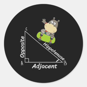 Adesivo Redondo Engraçado Hipo Skater Geometria Hipotenusa Math Bo
