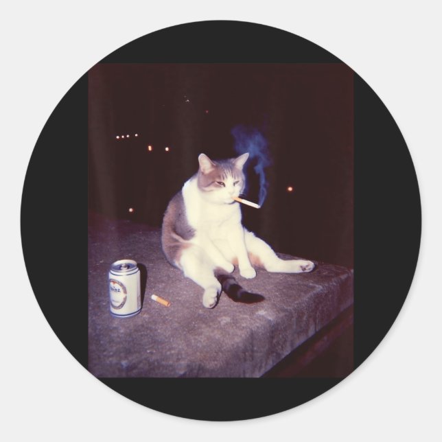 Adesivo Redondo Engraçado Memória Fumante Cigarro Kitten Brainrot  (Frente)