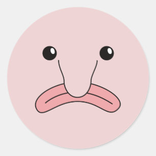 Adesivo Redondo Engraçados Engraçados Animais Engraçados