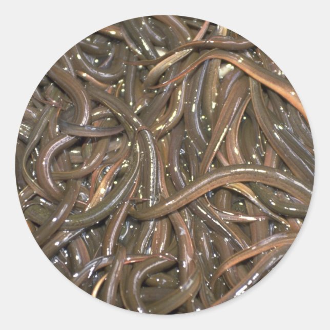 Adesivo Redondo Enguias-bebê (Frente)