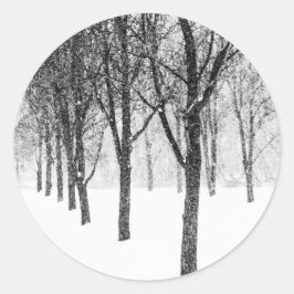 Adesivo Redondo Enquanto eu lado com árvores