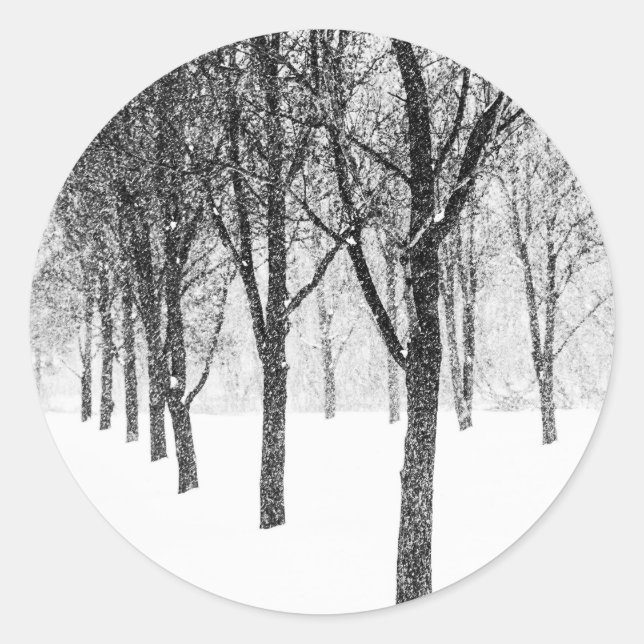 Adesivo Redondo Enquanto eu lado com árvores (Frente)