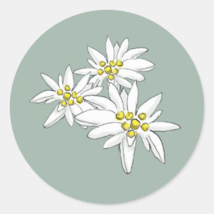 Adesivo Redondo Envelope Edelweiss Elegantes Flores Silvestres Des