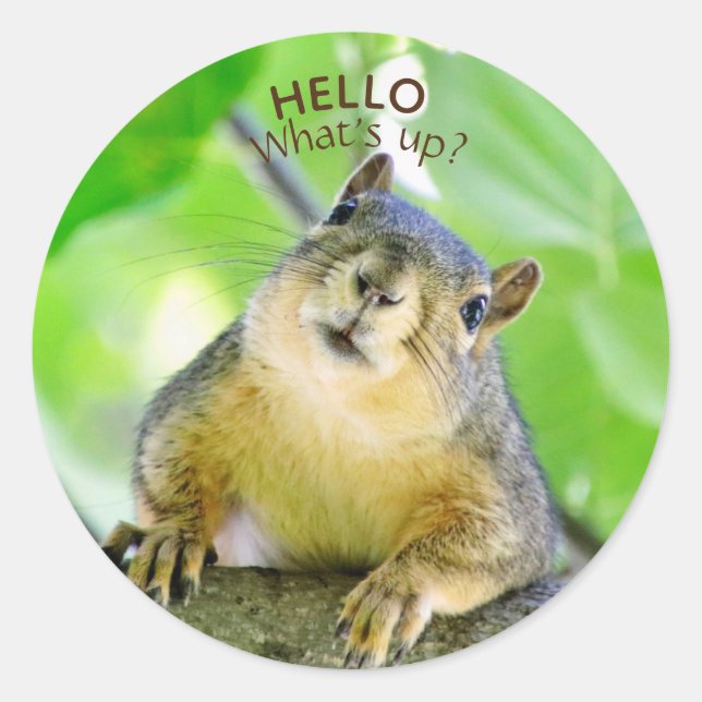 Adesivo Redondo Envelope Foco - Foco (Frente)