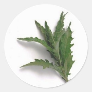Adesivo Redondo Epazote