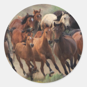 Adesivo Redondo Equinos Selvagens