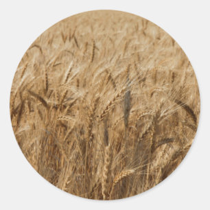 Adesivo Redondo Erick, Oklahoma Route 66