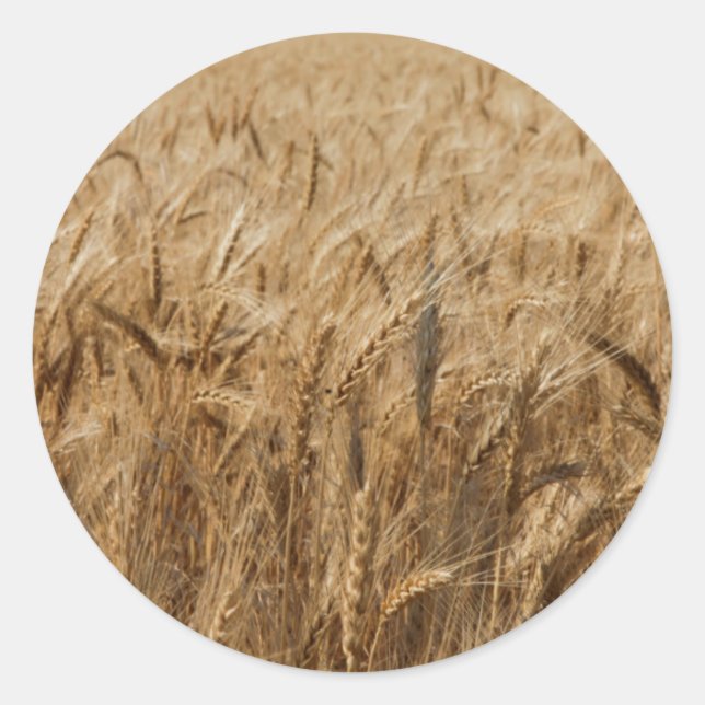 Adesivo Redondo Erick, Oklahoma Route 66 (Frente)