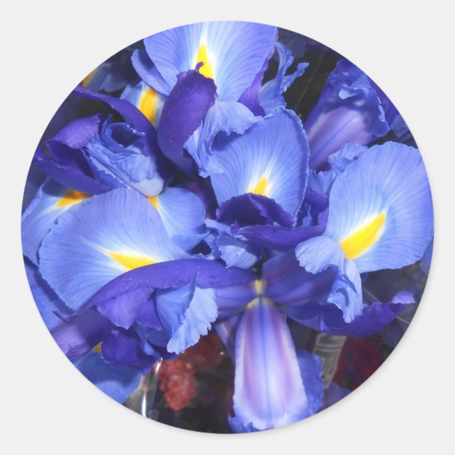 Adesivo Redondo Ermengarde (Frente)