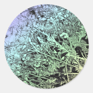 Adesivo Redondo Ervas daninhas multicoloridos