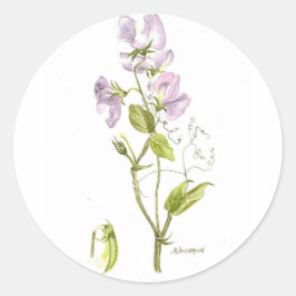 Adesivo Redondo ervilha doce