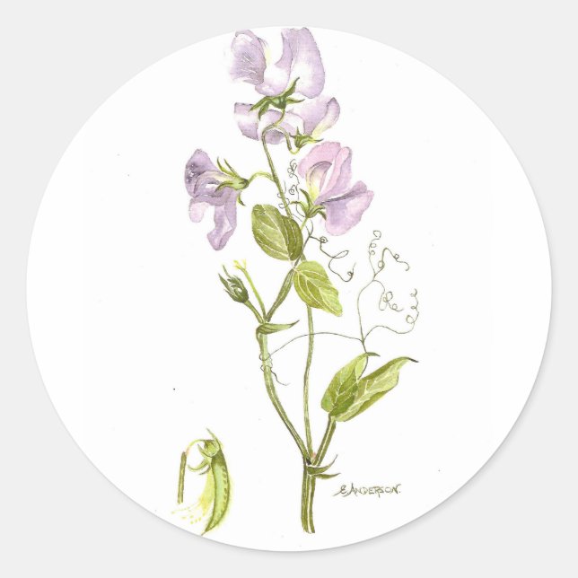 Adesivo Redondo ervilha doce (Frente)