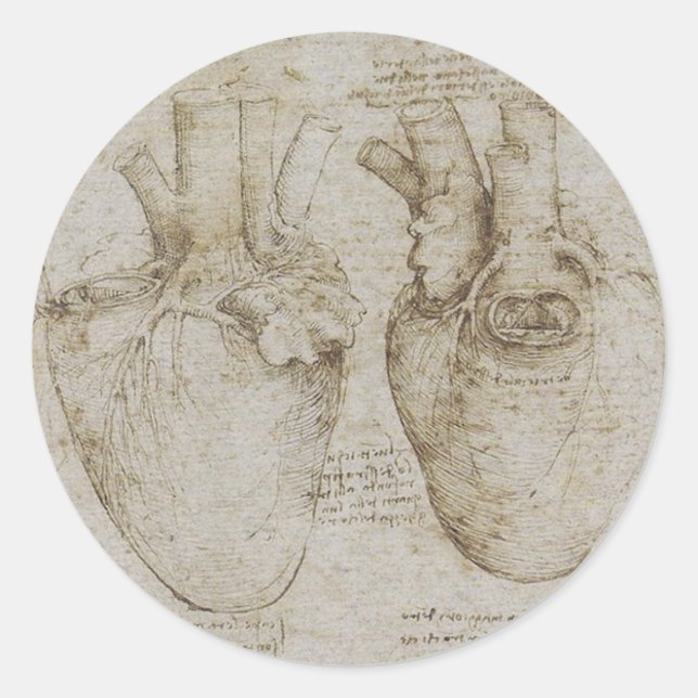 Adesivo Redondo Esboços de Anatomia do Coração Humano de Da Vinci (Frente)