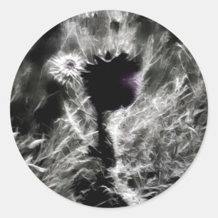 Adesivo Redondo Escolha-me