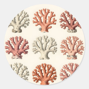Adesivo Redondo Espécimes de Coral Vintage Botânico Marinho