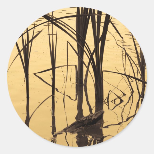 Adesivo Redondo espelho é mentiroso (Frente)