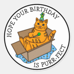 Adesivo Redondo Espero que seu aniversário seja Purr-actual