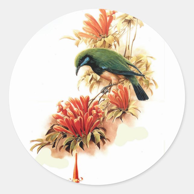 Adesivo Redondo Esplendor tropical (Frente)