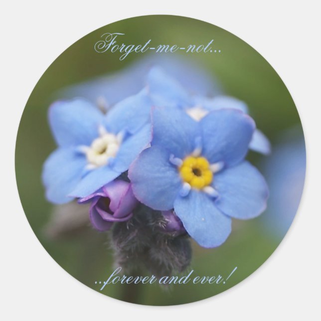 Adesivo Redondo Esqueça-me, não para sempre e para sempre! (Frente)