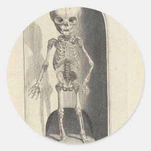 Adesivo Redondo Esqueleto infantil