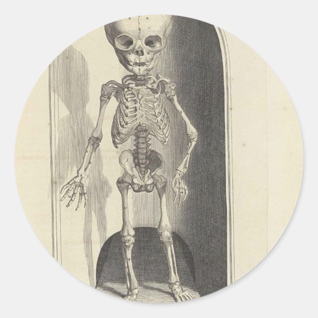 Adesivo Redondo Esqueleto infantil (Frente)