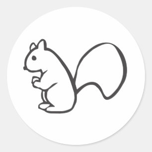 Adesivo Redondo Esquilo jovem em preto e branco